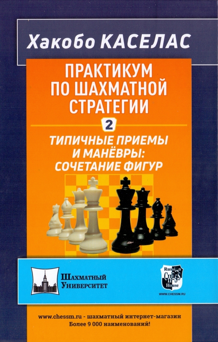 Практикум по шахматной стратегии 2. Типичные приемы и маневры: сочетание фигур